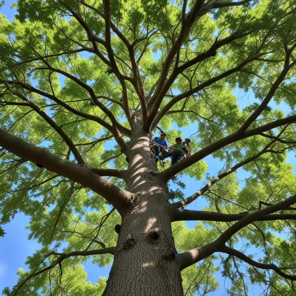 Canopy captains: Maintaining healthy, structurally sound tree crowns