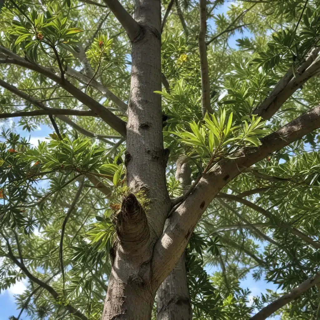 Combating Invasive Tree Species in South Florida’s Ecosystems