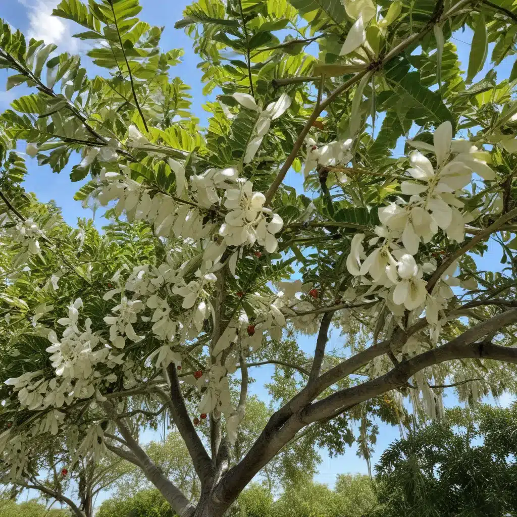 Combating Spiraling Whitefly Infestations in South Florida Tree Canopies