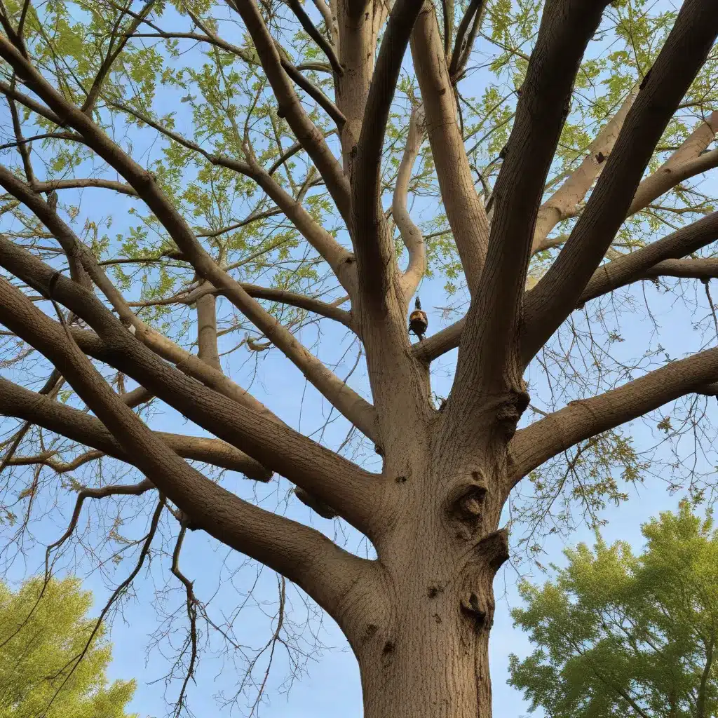 Enhancing Tree Resilience Through Proper Pruning Practices