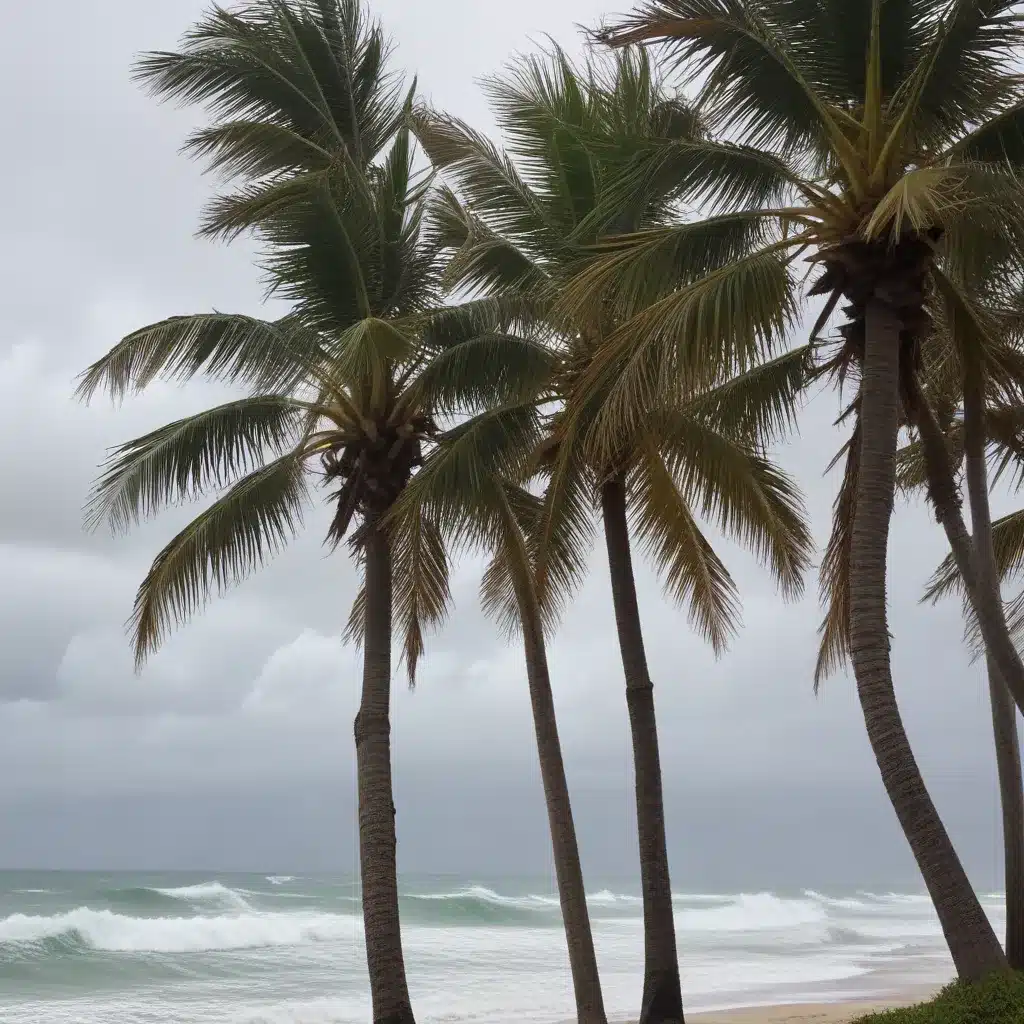 Fortifying Your Palms Against Hurricane-Force Winds