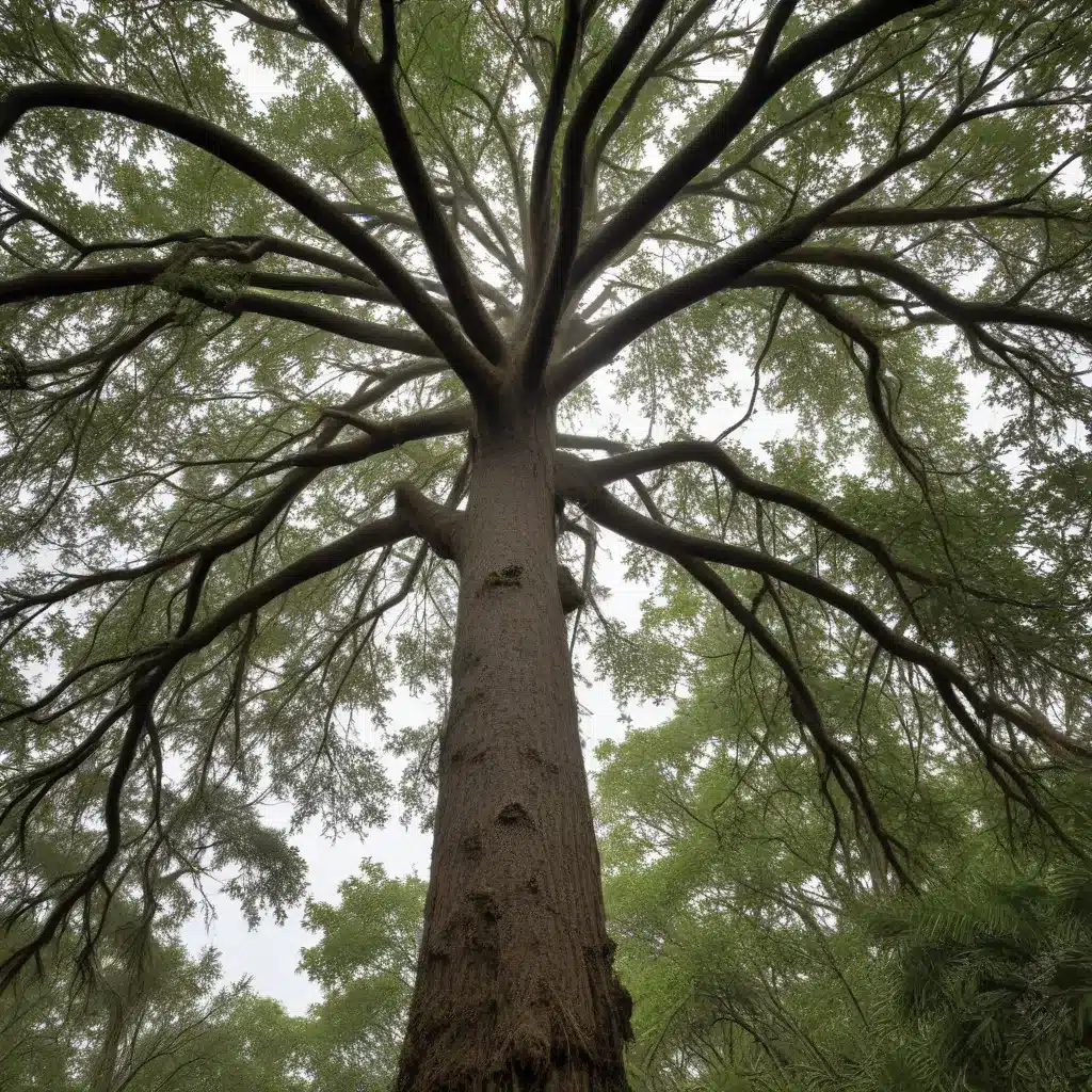 Hurricane-hardy heroes: Resilient tree species to weather extreme storms