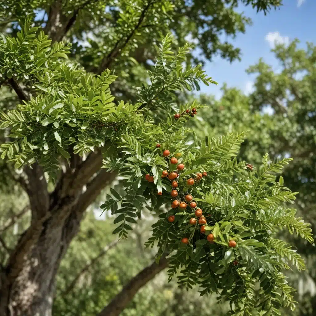 Identifying and Controlling Common Tree Pests in South Florida