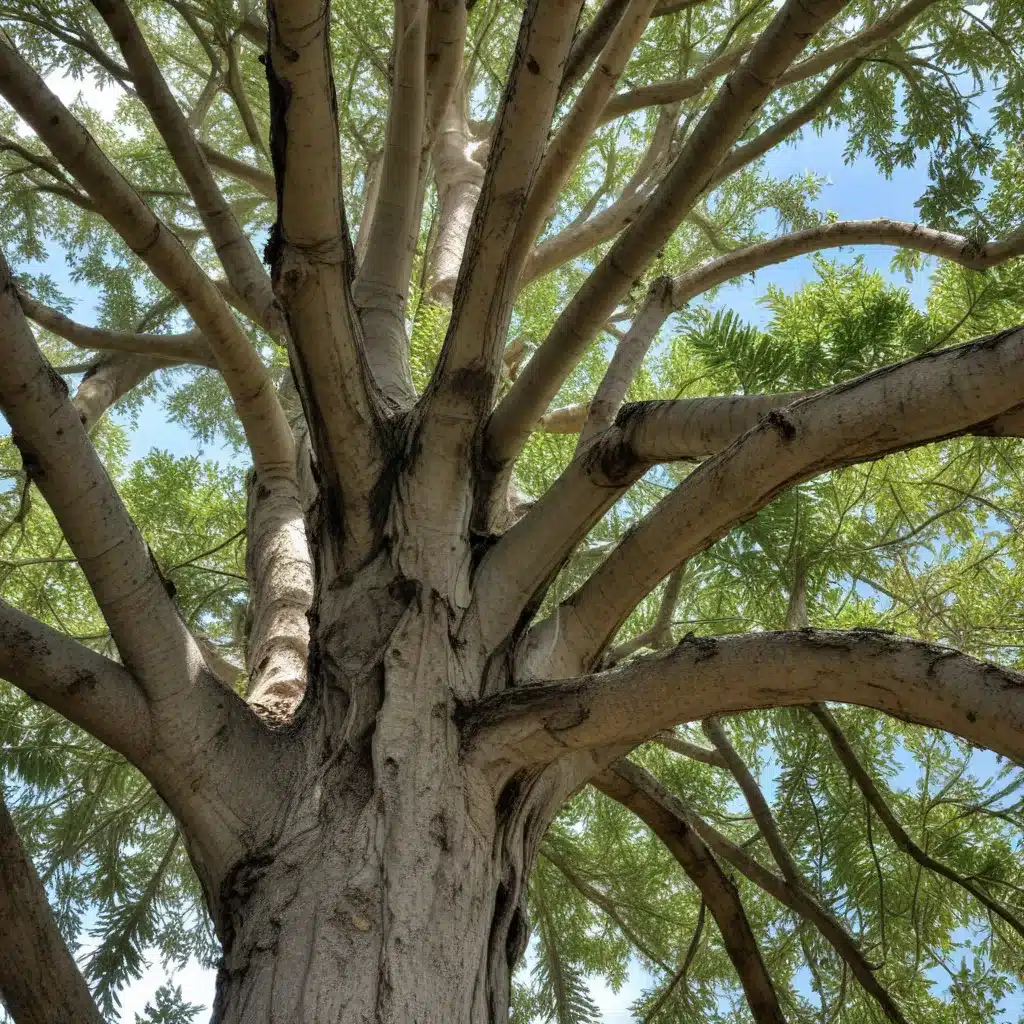 Identifying and Treating Common South Florida Tree Diseases