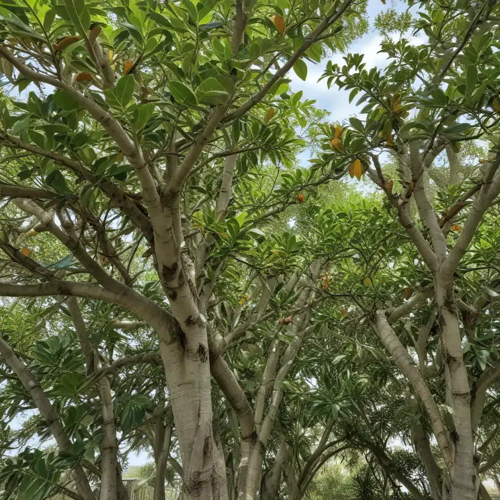 Managing Invasive Beetles that Threaten Ornamental Ficus in Florida