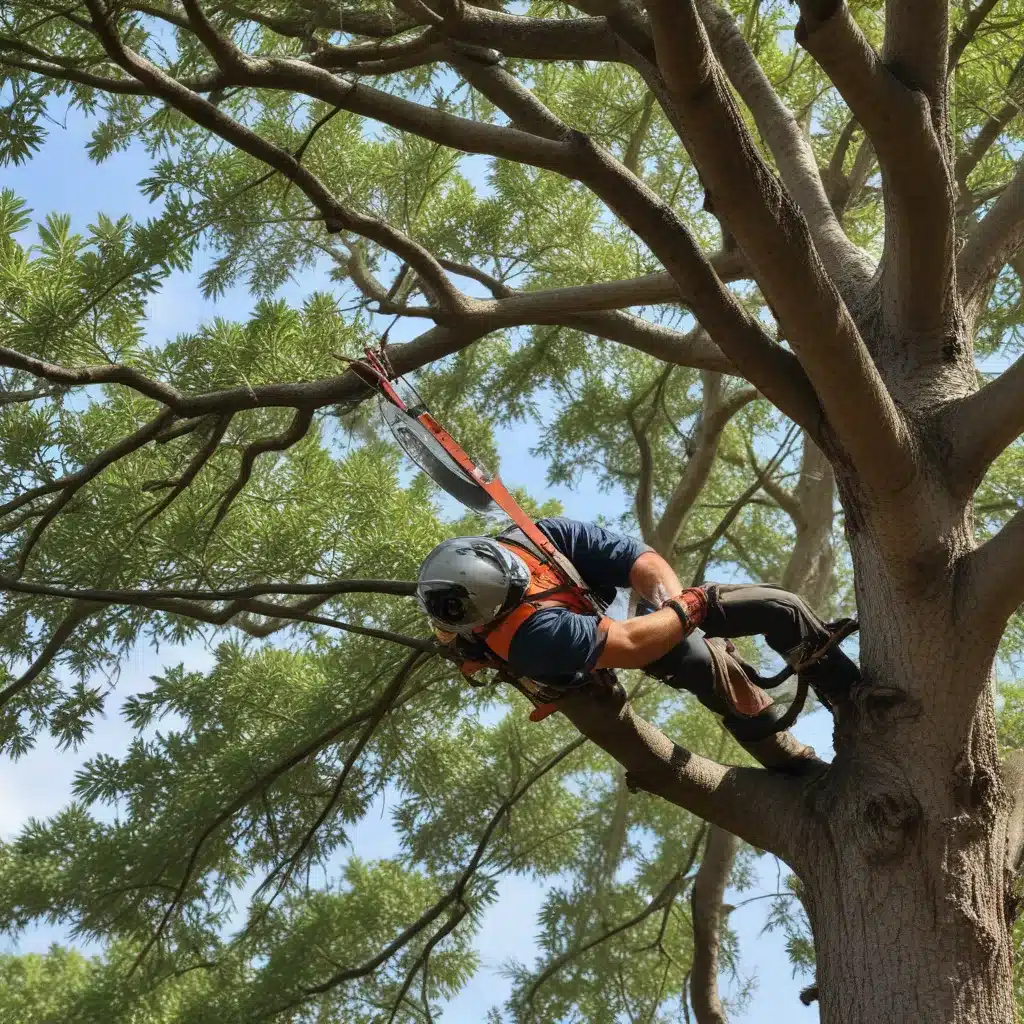 Mastering Techniques for Pruning South Florida’s Mature Trees