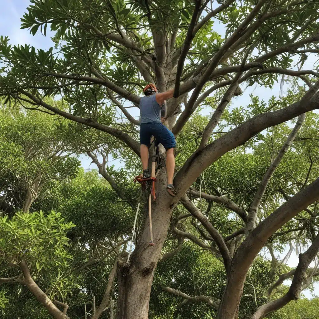 Mastering the Art of Pruning South Florida’s Mangrove Trees