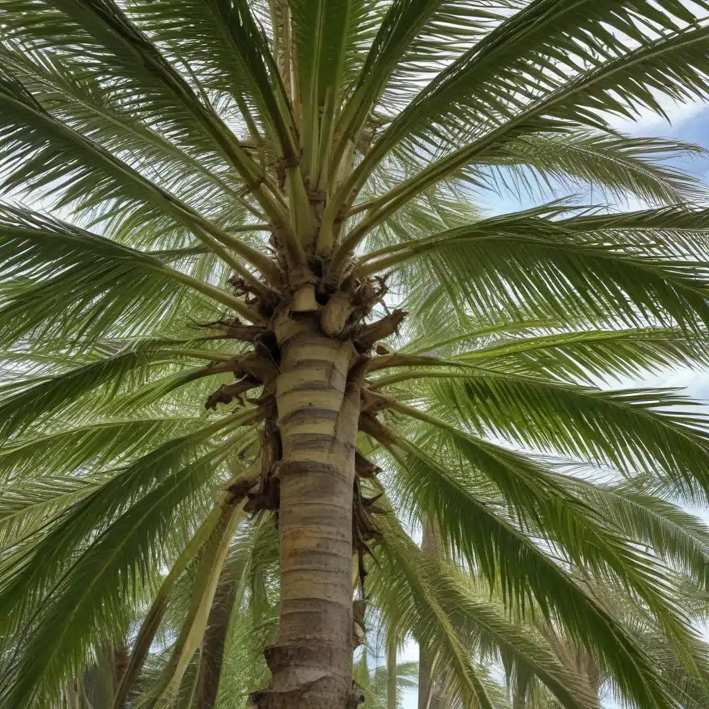 Optimizing Fertilization Practices for Palms and Tropical Tree Species