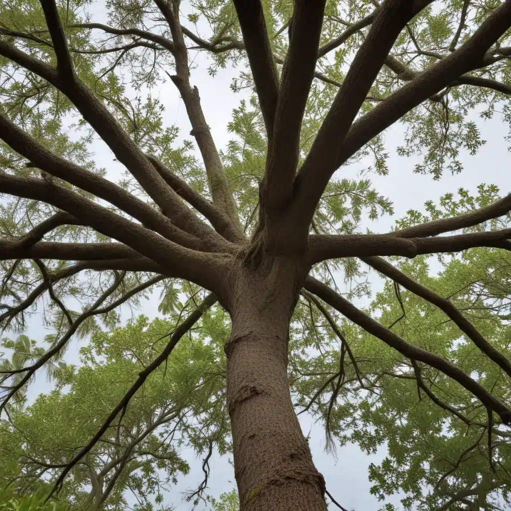 Optimizing Hurricane Resilience: Pruning Strategies for Subtropical Tree Species