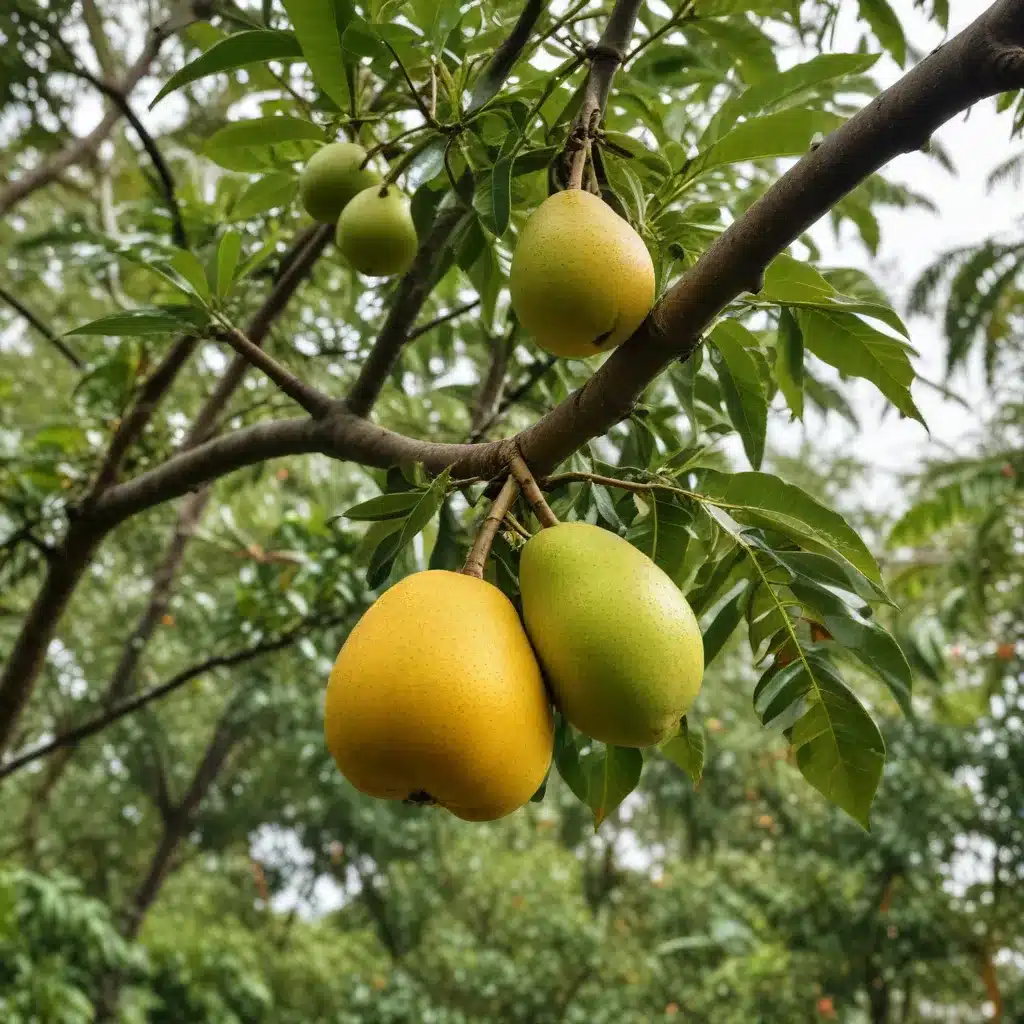 Preventing Storm Damage to Your Mango and Avocado Trees