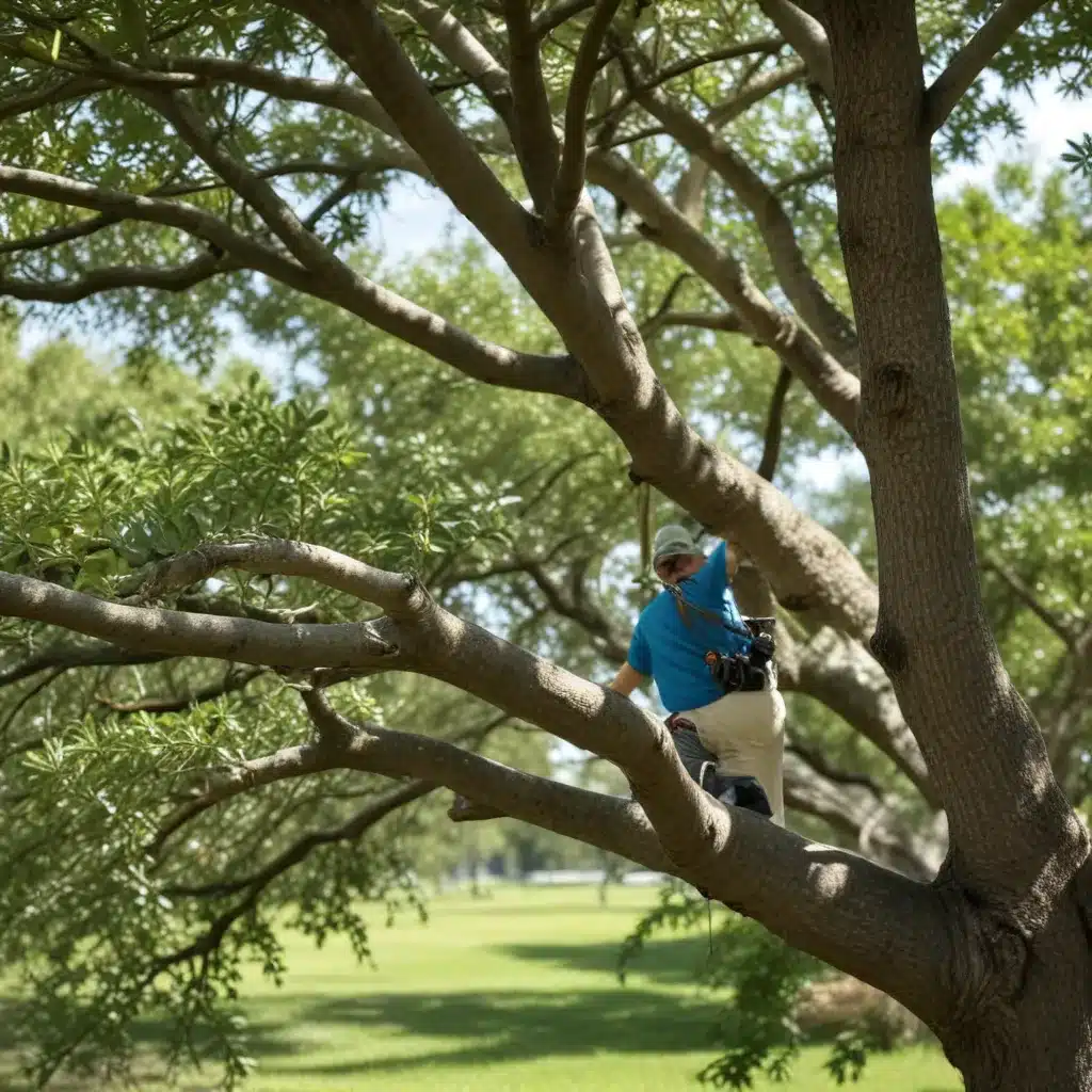 Promoting Tree Health in South Florida Through Proactive Fertilization