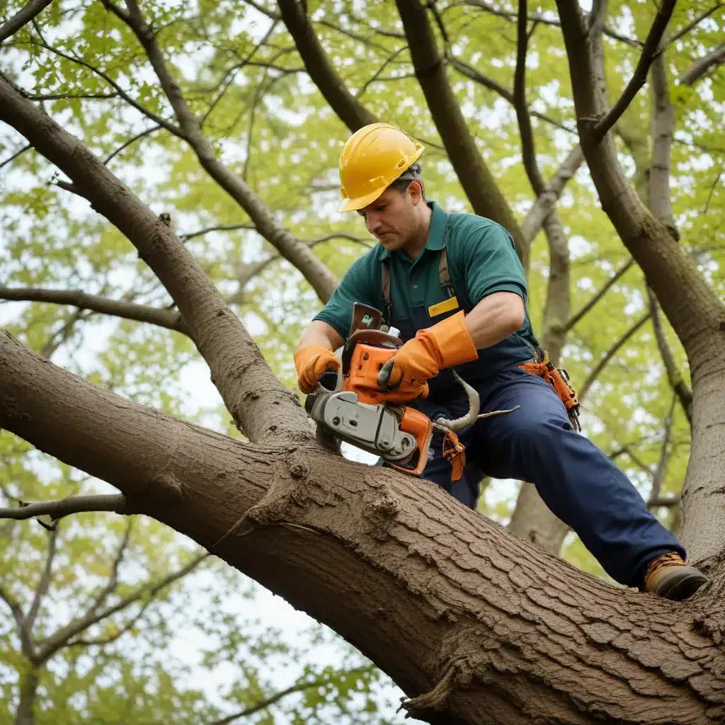 Promoting tree longevity through proper pruning and maintenance practices