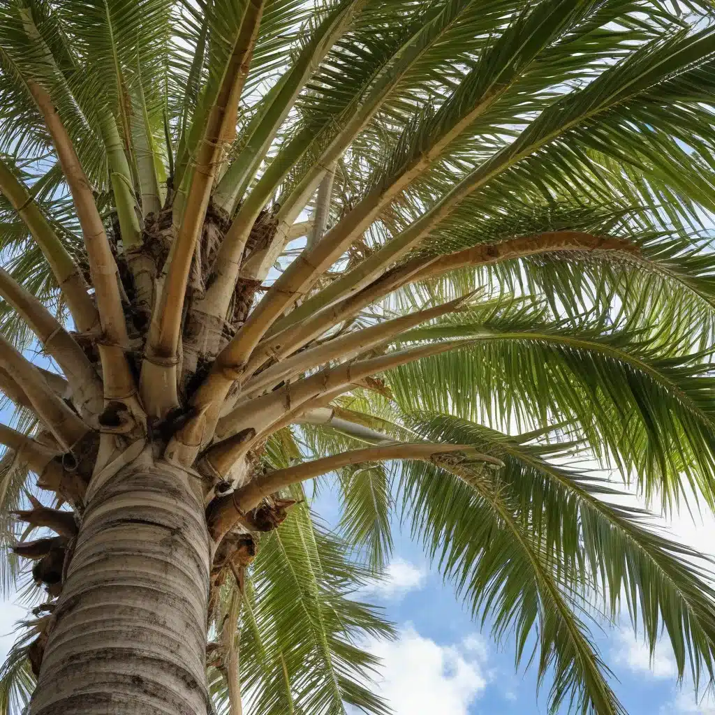 Protecting South Florida’s Palms and Trees from Cold Damage