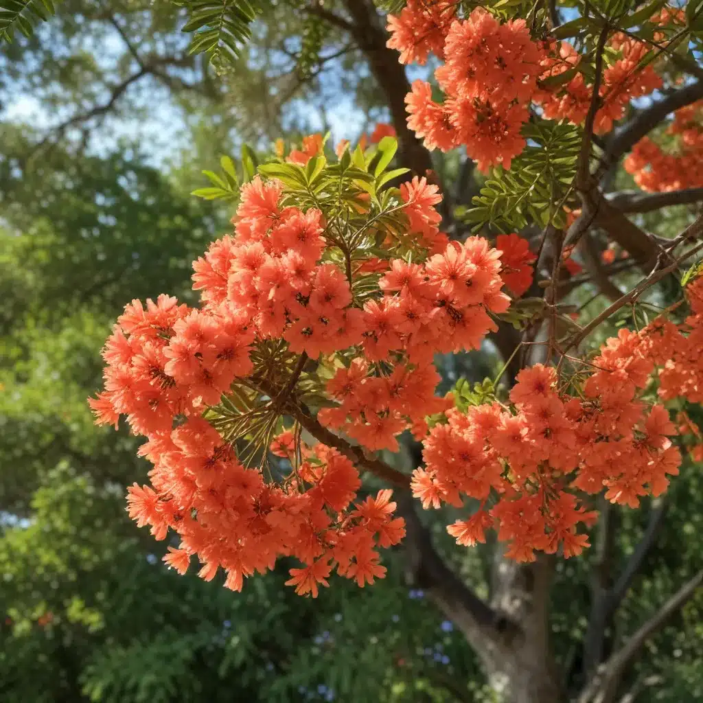 Protecting Your Jacaranda, Royal Poinciana, and Other Tropical Flowering Trees