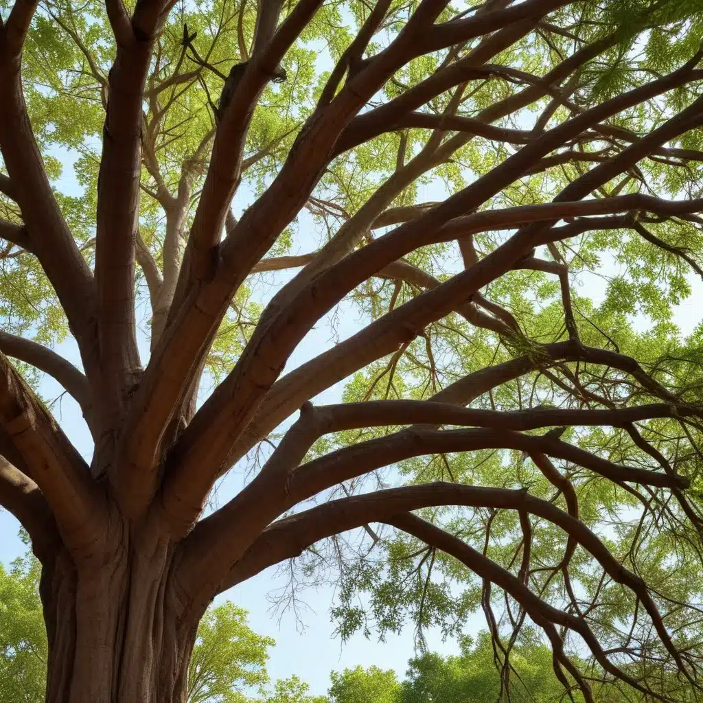 Protecting Your Mahogany and Teak Trees from High Winds