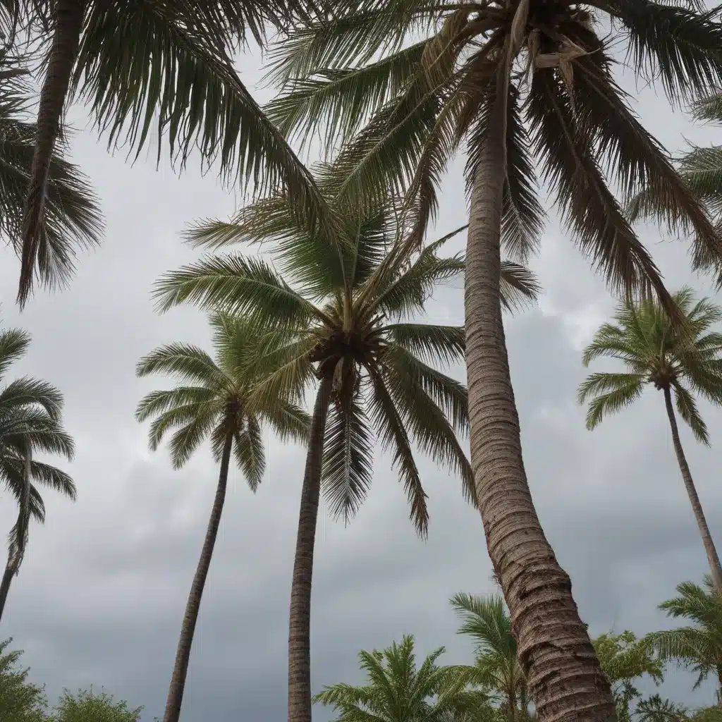 Protecting Your Palms from Hurricane Damage: Proven Strategies