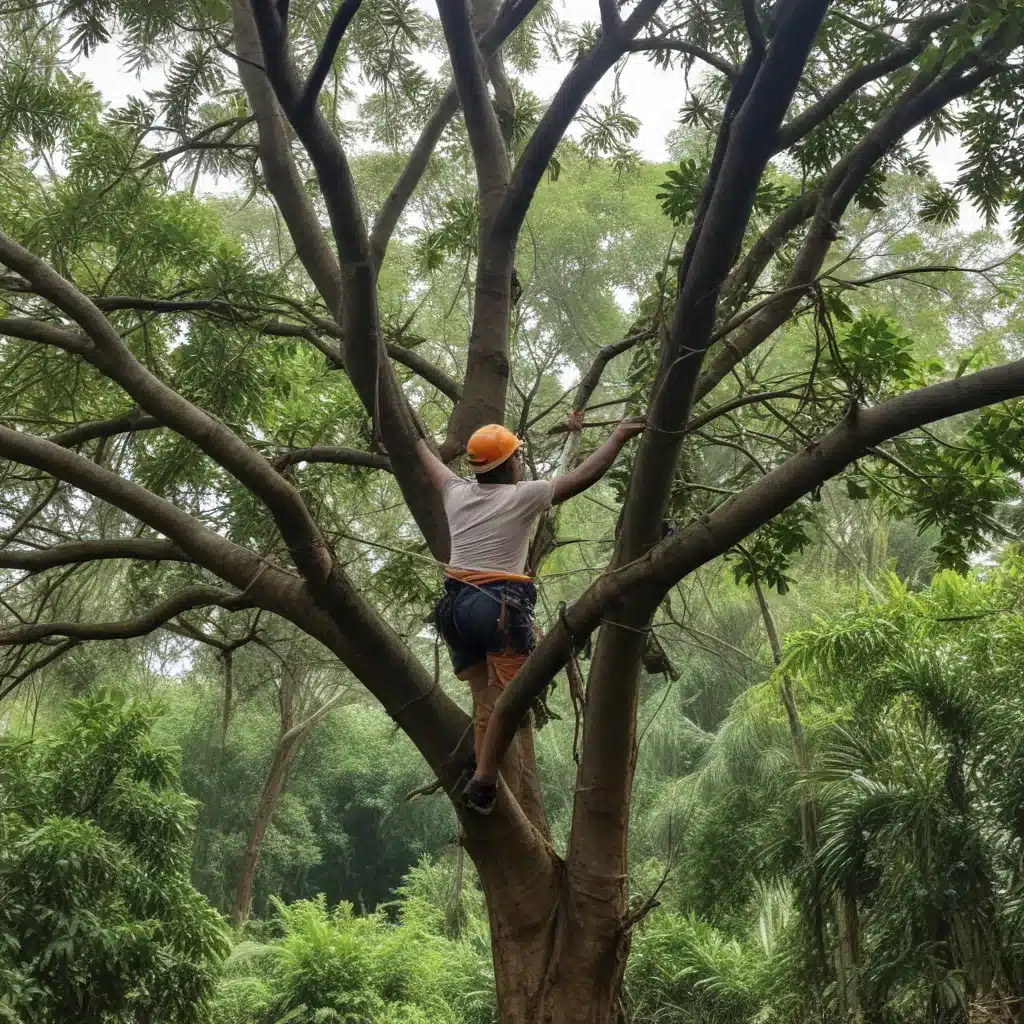 Pruning Techniques to Boost Storm Resilience in Tropical Trees