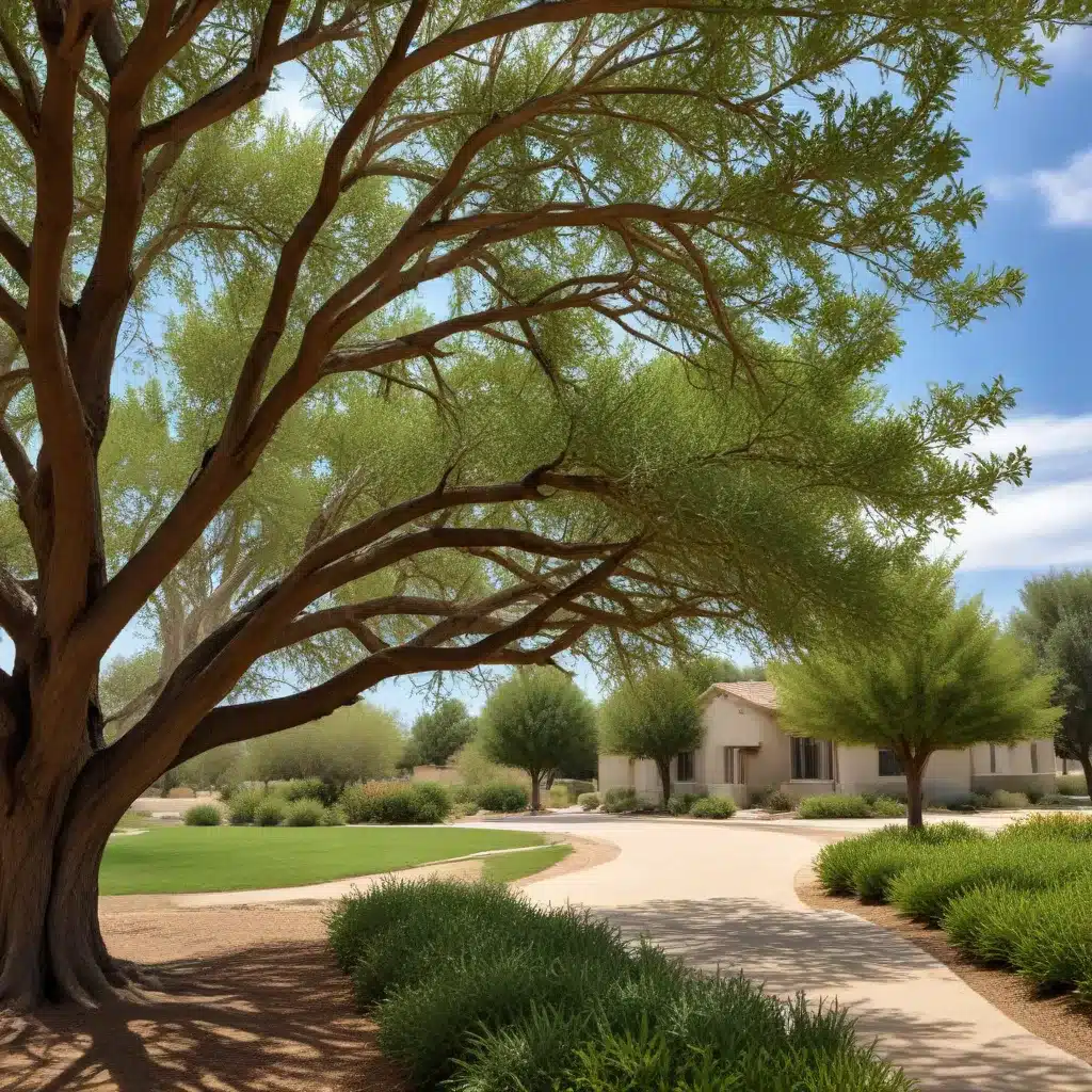 Selecting Drought-Tolerant Tree Species for Residential Landscapes