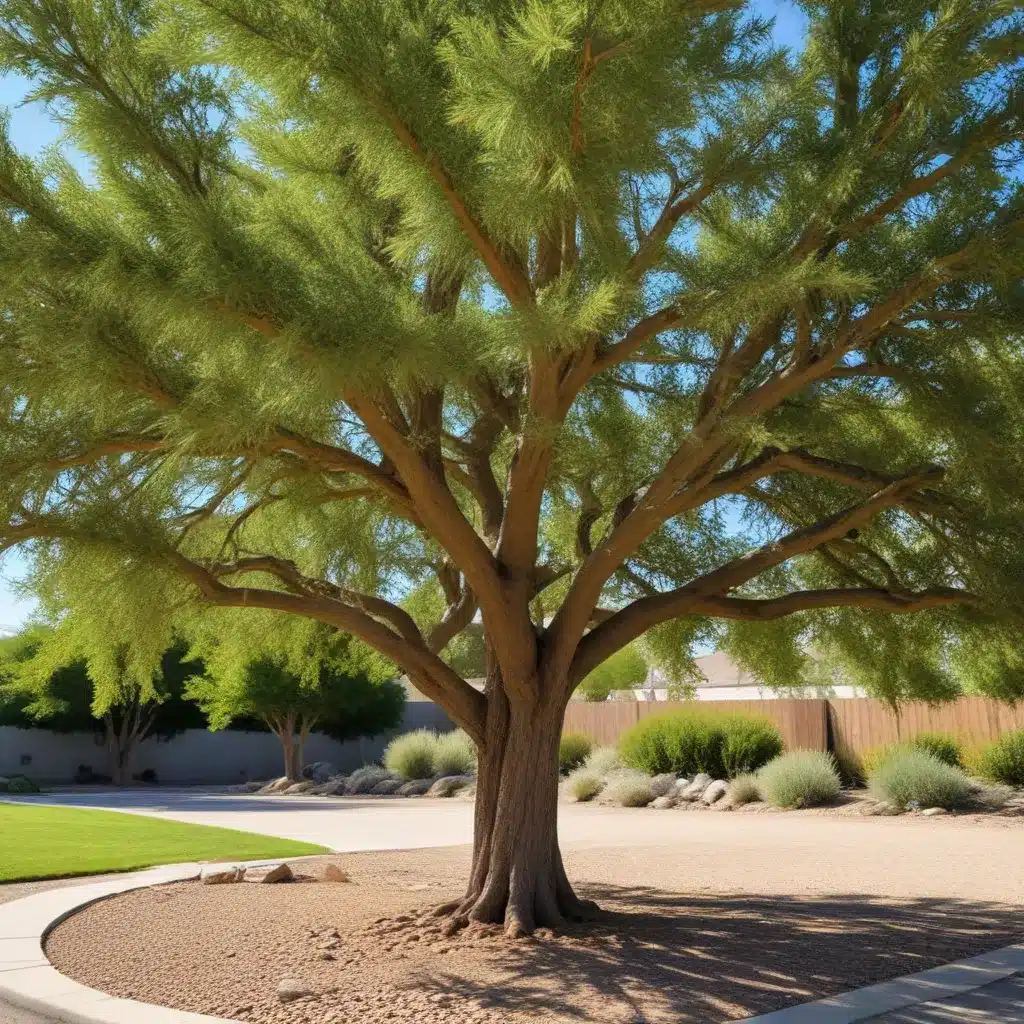 Selecting drought-tolerant tree species for water-wise landscaping