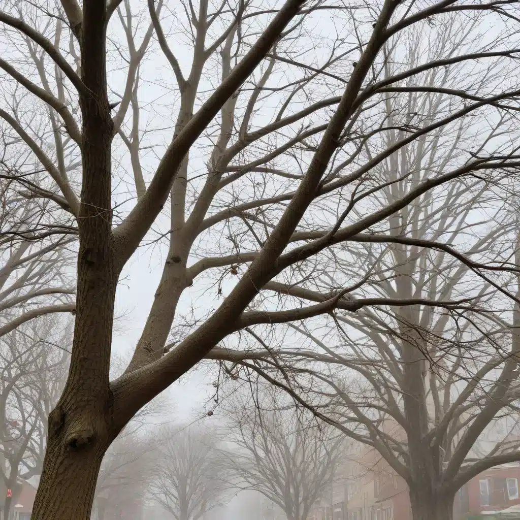 Sleet Damage Impacts on Street Tree Crowns and Branches