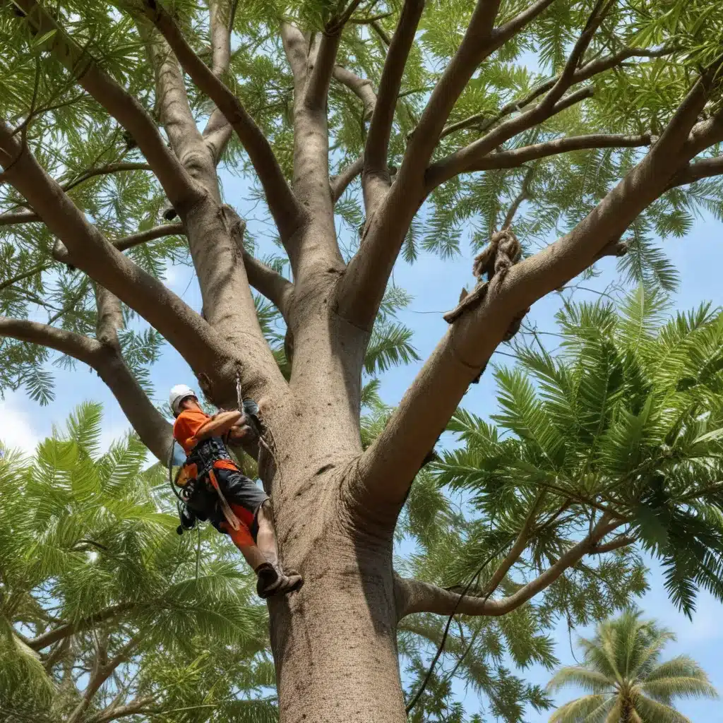 Tropical Tree Pruning: Techniques for Optimal Growth and Health